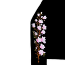 Sakura Long Sleeve