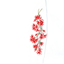 Sakura Long Sleeve